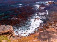 Przylądek Dobrej Nadziei, Cape of Good Hope